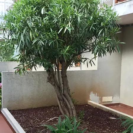 Villaggio Del Sole Ventimiglia
